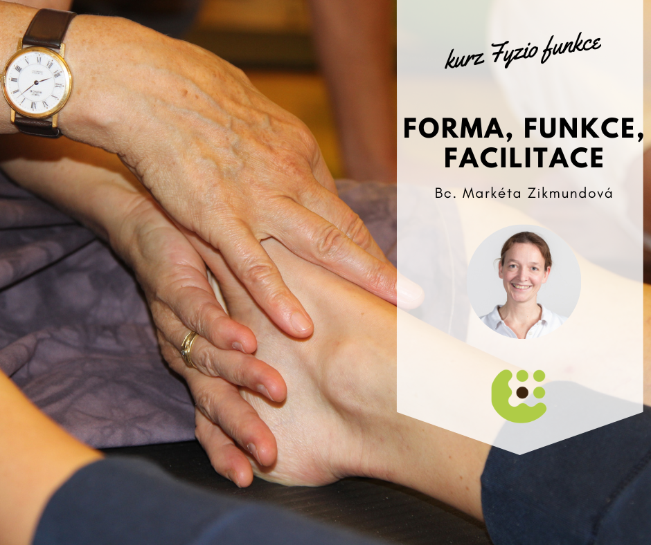 Fyzioterapie funkce 1: Forma, funkce, facilitace