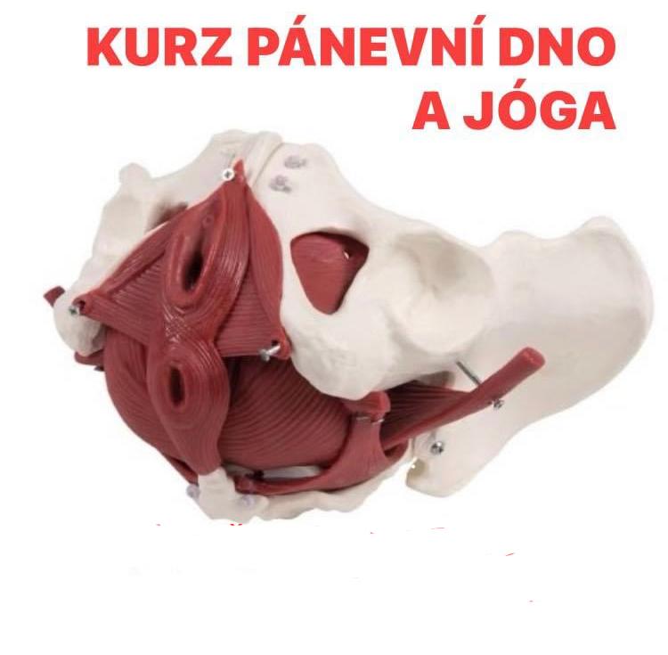 Kurz Pánevní dno a jóga