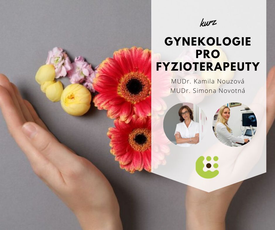 Gynekologie pro fyzioterapeuty