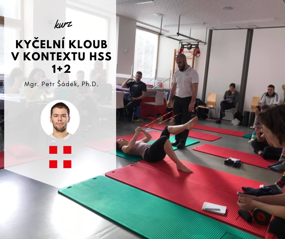 Kyčelní kloub v kontextu HSS 1+2