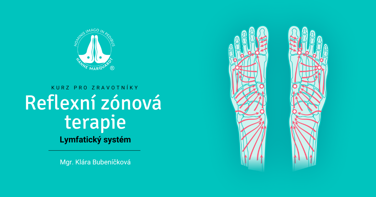 Reflexní zónová terapie na nohou – lymfatický systém (IV.)