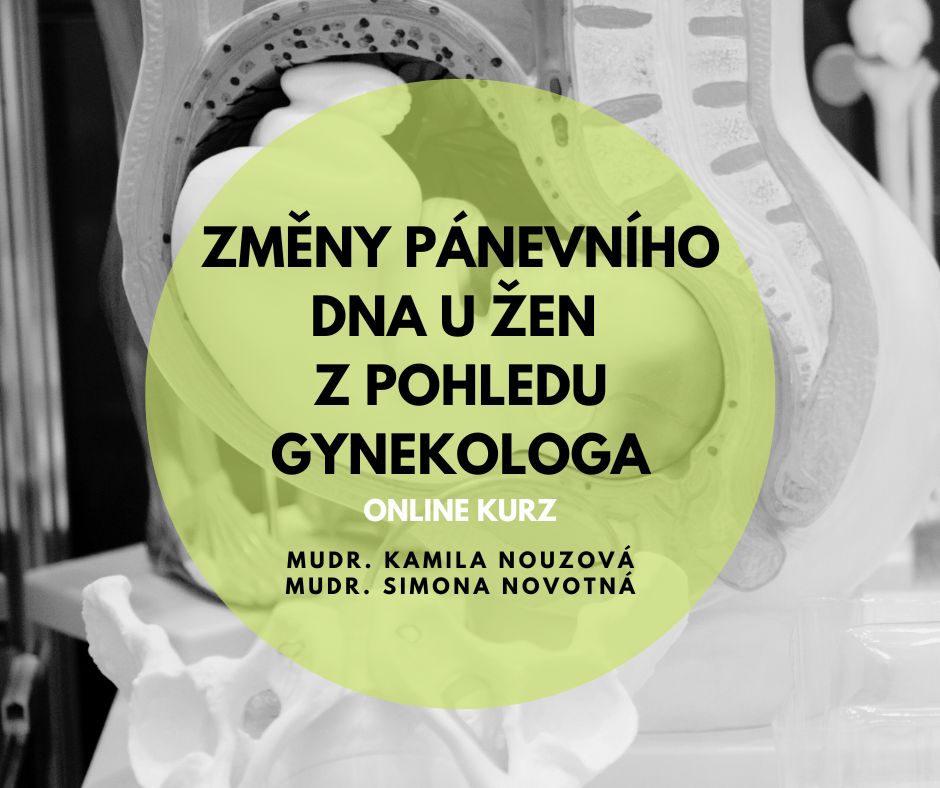 Změny pánevního dna u žen z pohledu gynekologa