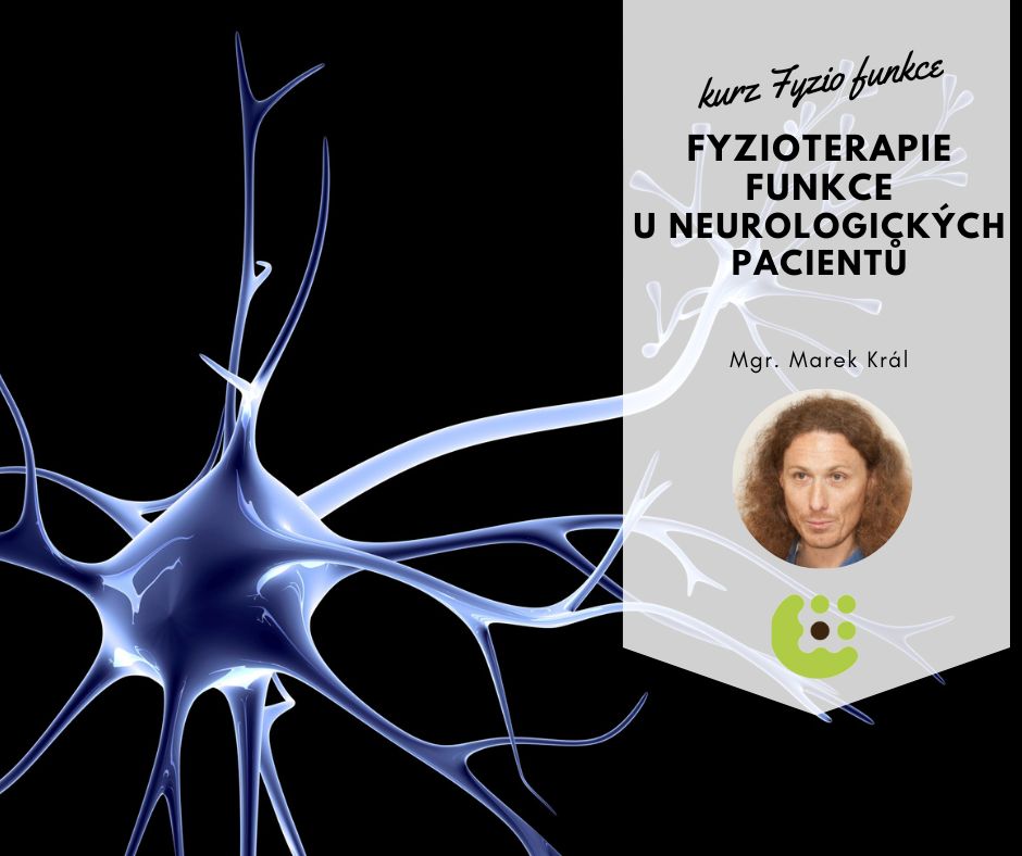 Fyzioterapie funkce u neurologických pacientů (klinický seminář)