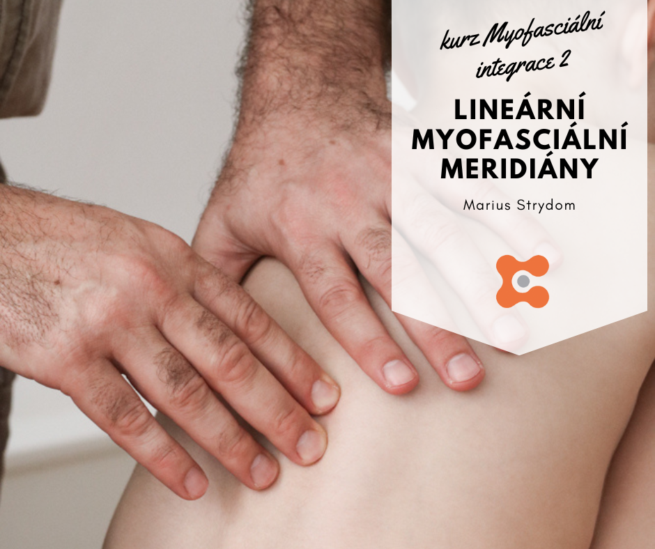 Myofasciální integrace II: Lineární myofasciální meridiány