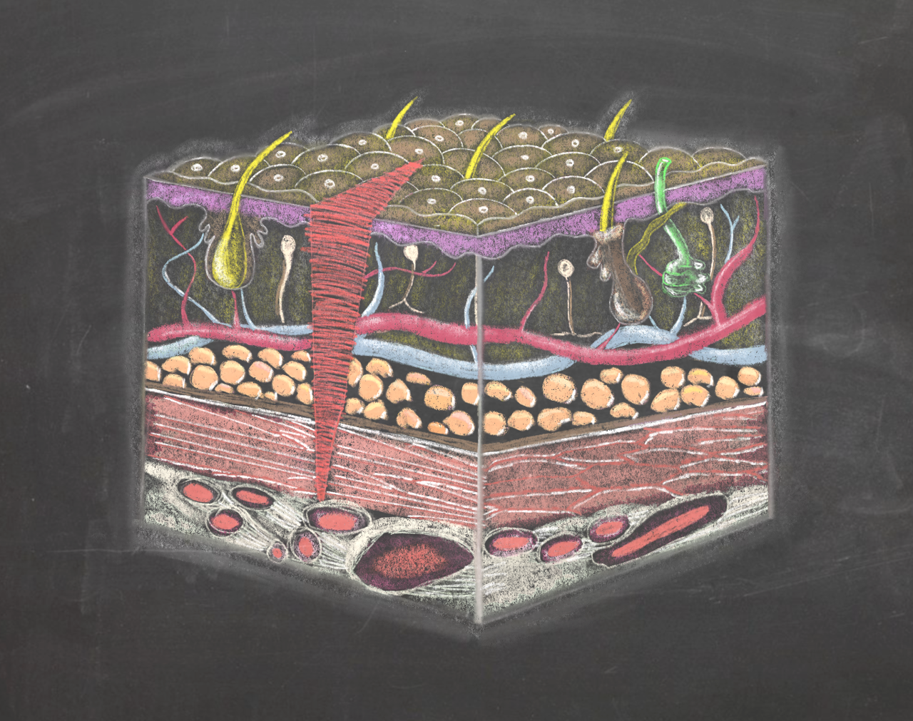 JIZVA - úvodní díl