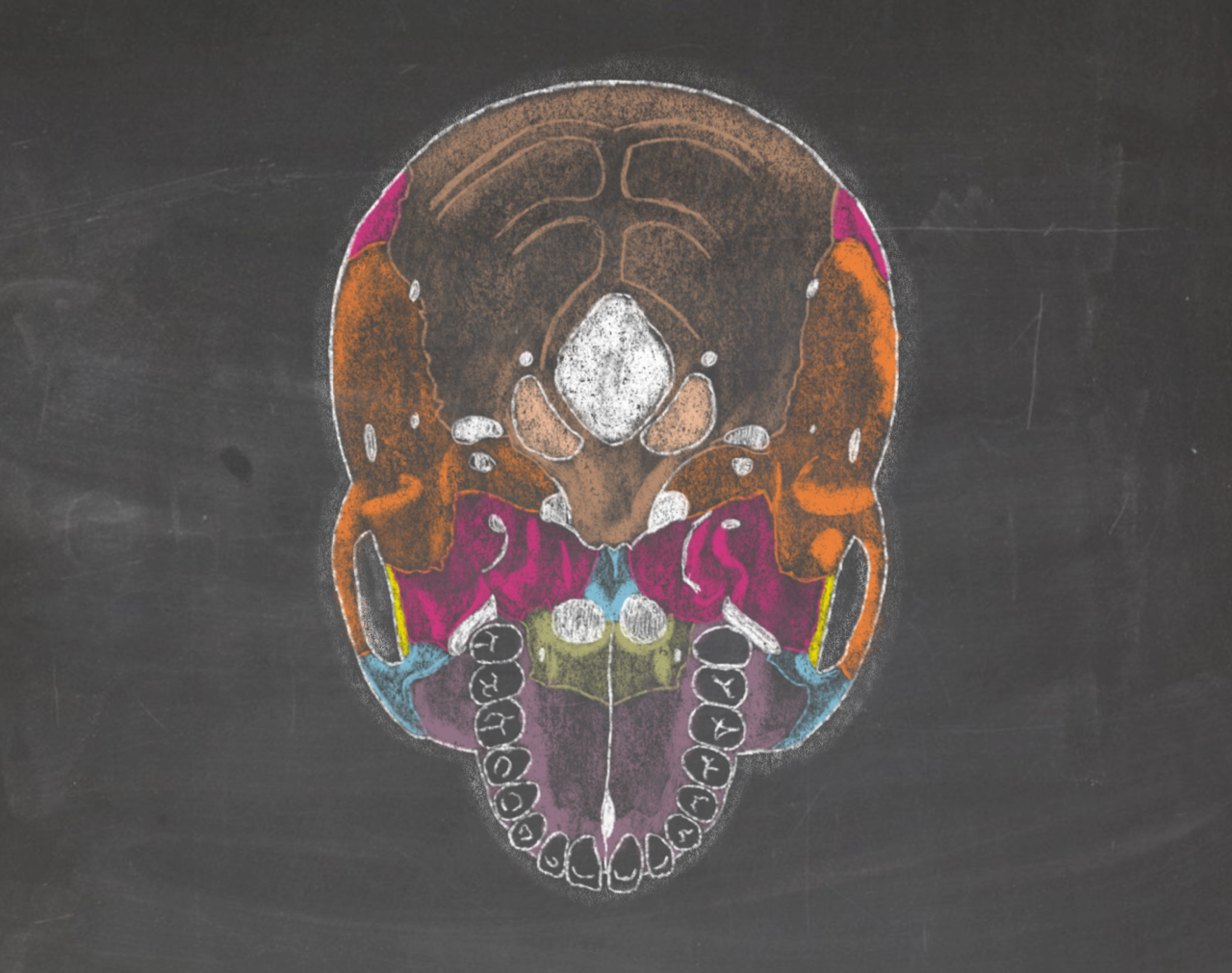 TMK - pokročilá terapie