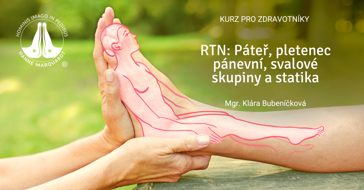 RTN: Páteř, pletenec pánevní, svalové skupiny a statika