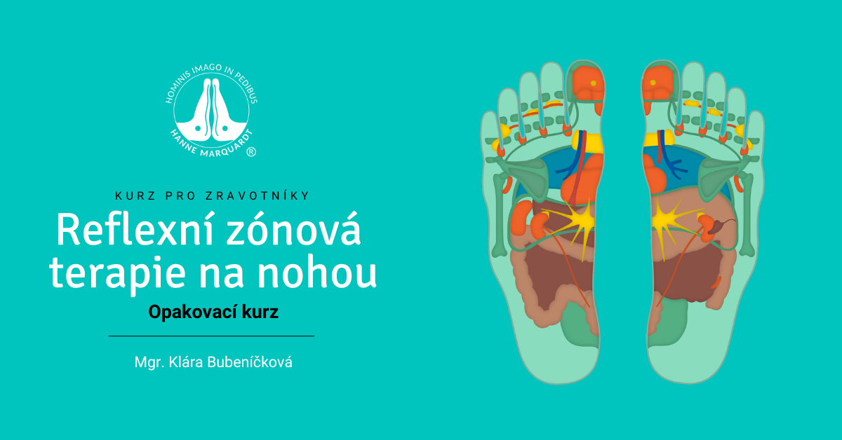 Opakovací kurz Reflexní zónové terapie na nohou 
