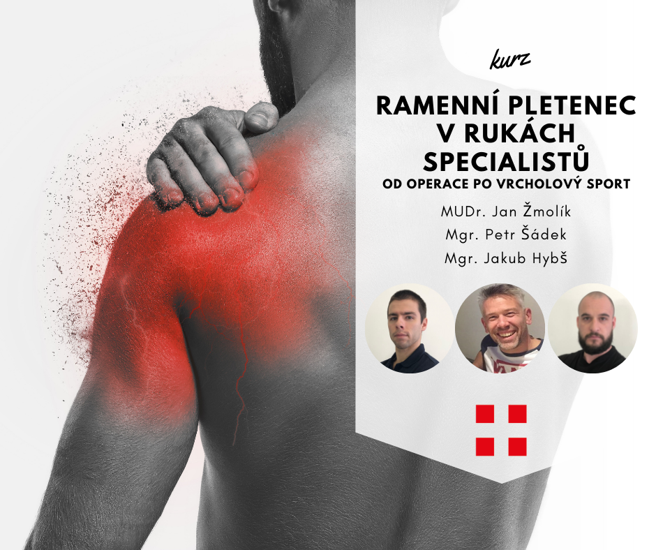 Ramenní pletenec v rukách specialistů 