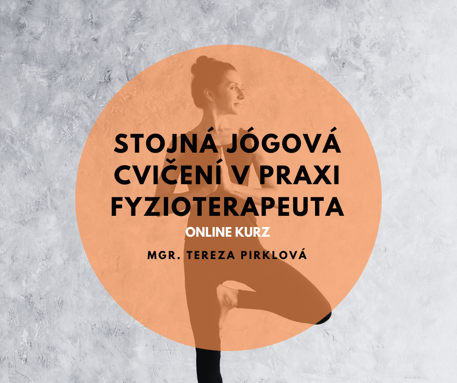 Stojná jógová cvičení v praxi fyzioterapeuta