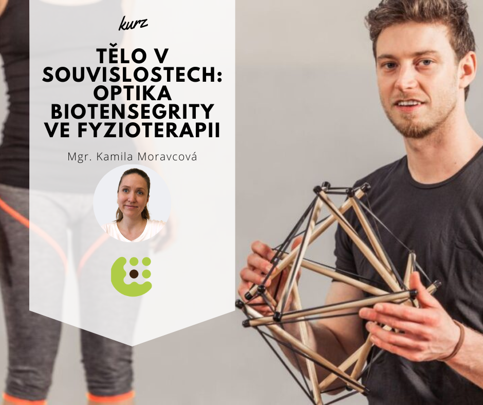 Tělo v souvislostech: Optika biotensegrity ve fyzioterapii