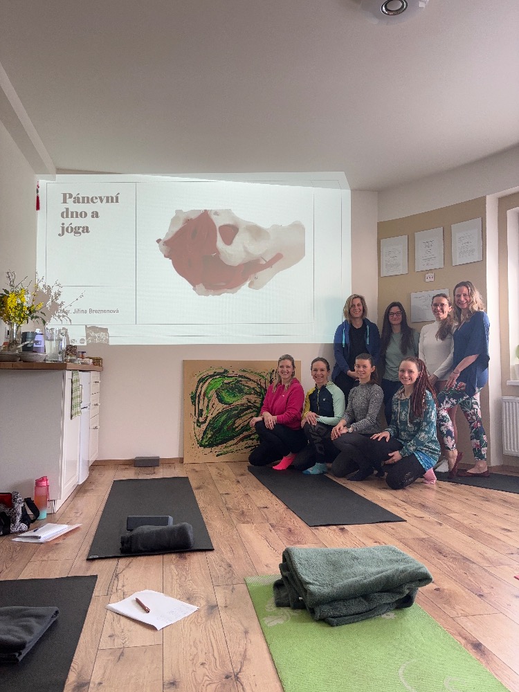 Diaphragma pelvis terapie