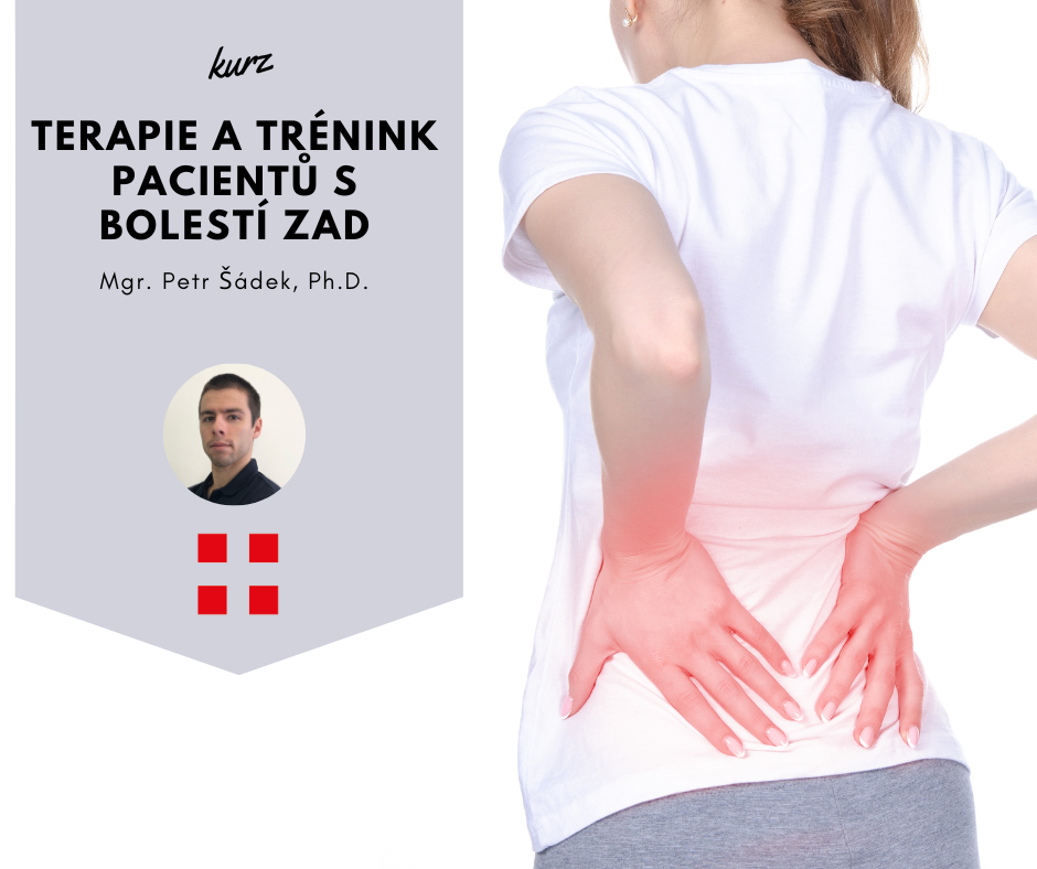 Terapie a trénink pacientů s bolestí zad