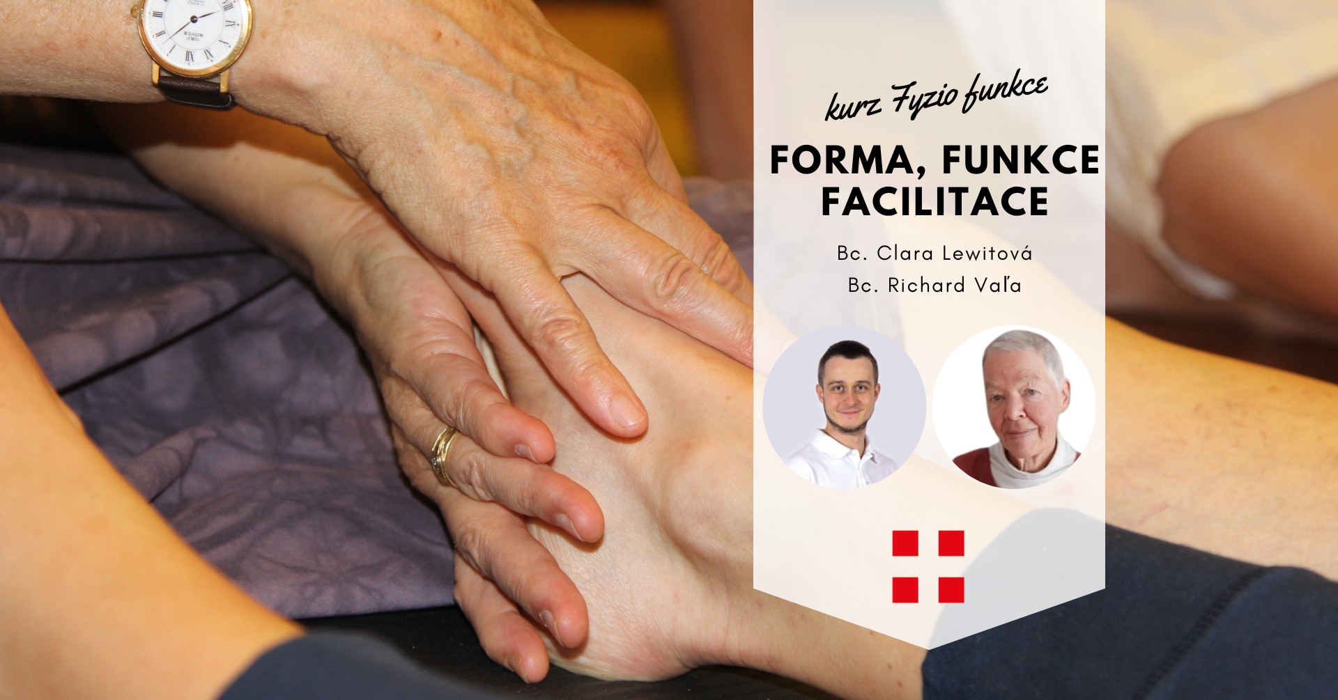 FF1: Forma Funkce Facilitace