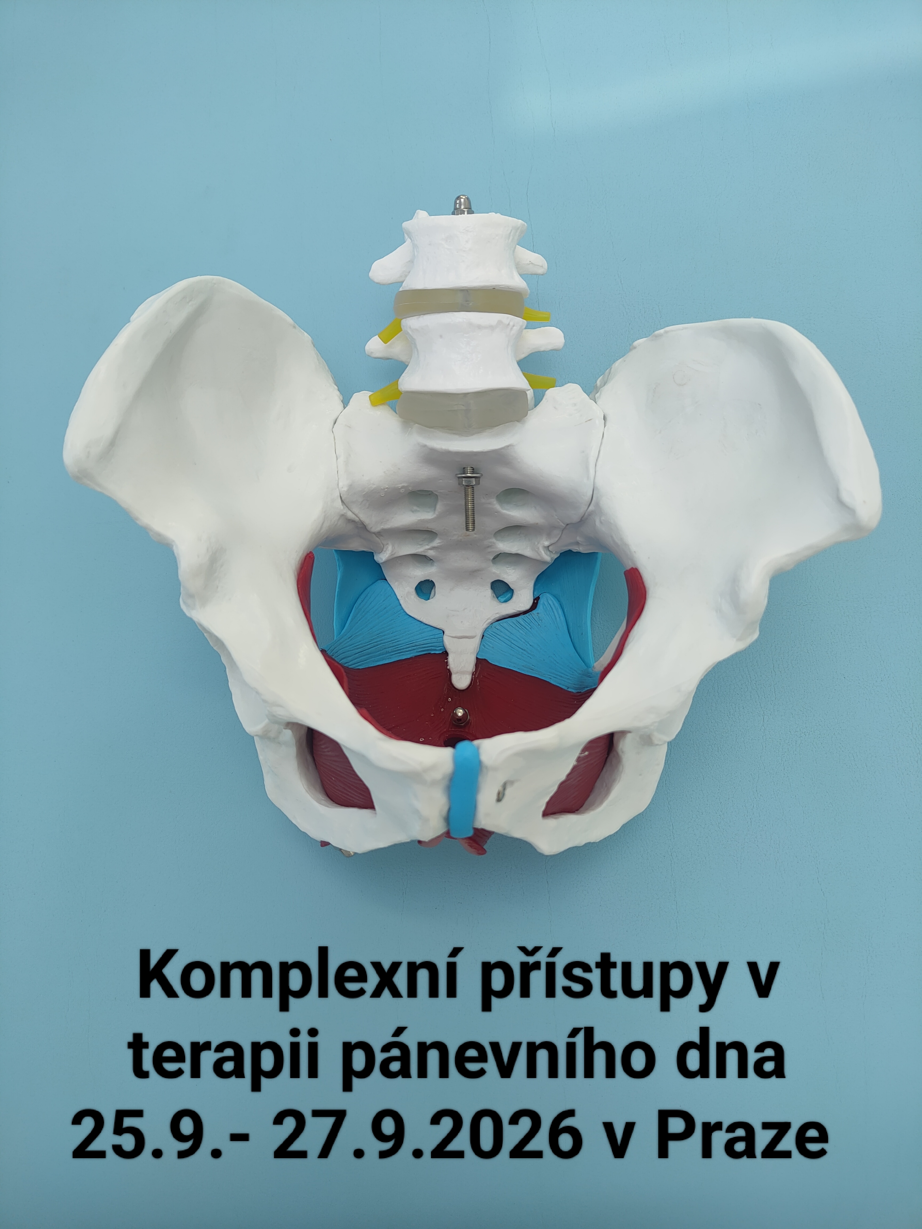 Komplexní přístupy v terapii pánevního dna