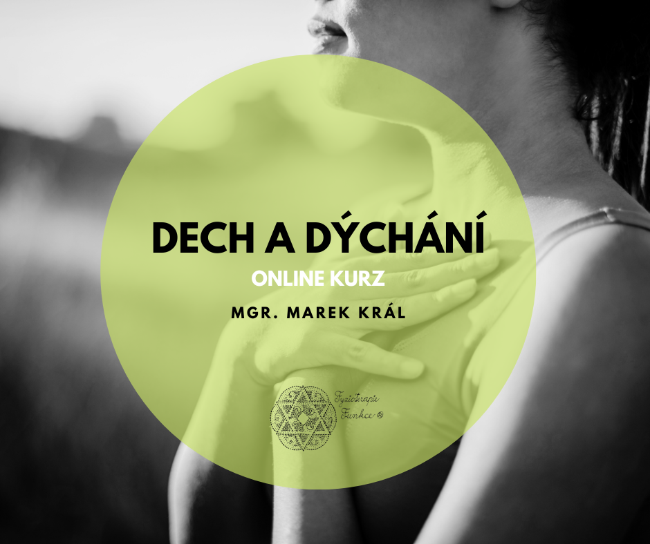 Dech a dýchání
