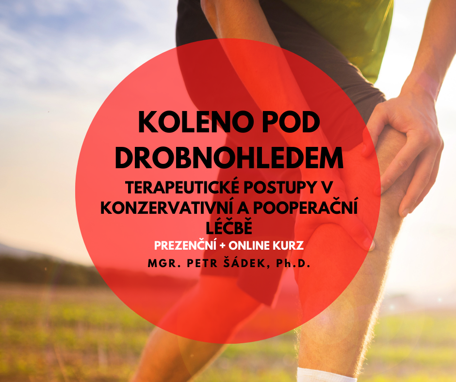 Koleno pod drobnohledem: terapeutické postupy v konzervativní a pooperační léčbě (online + prezenčně)